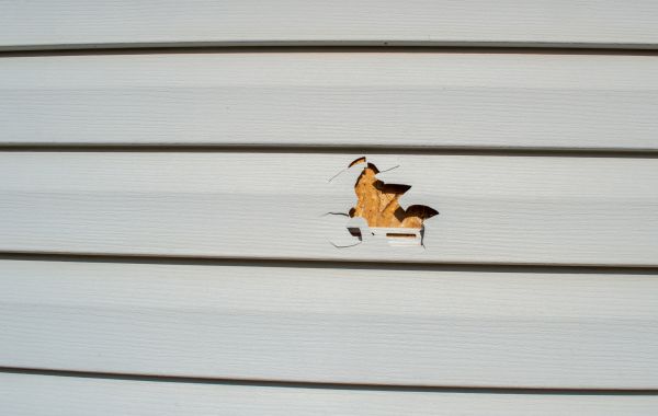 Cost of Siding Hole Patching in Findlay