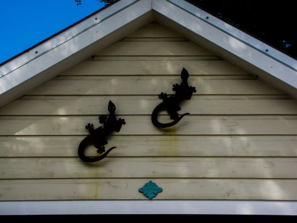 Cost of Shiplap Siding Installation in Findlay